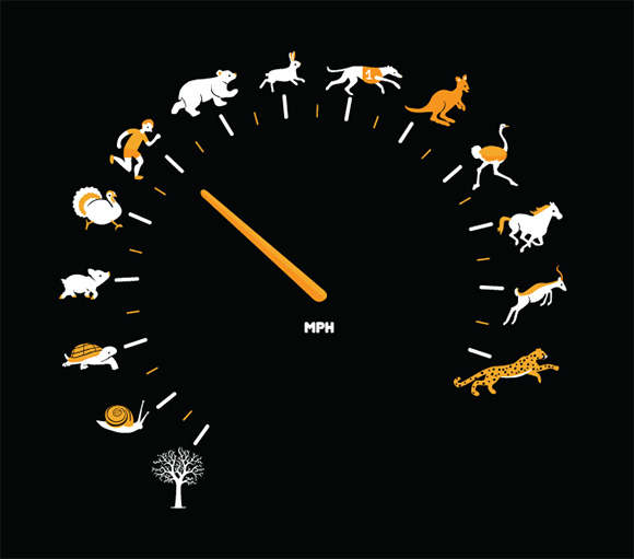 as-fast-as-i-can